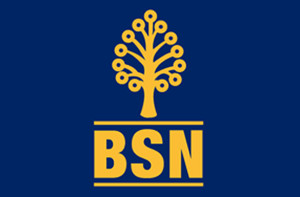 bsn-personal-loan[1]